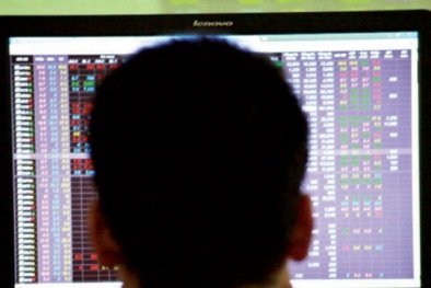 BIDV: TTCK Việt Nam đạt 530 điểm năm 2014